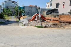 Bán gấp 100m2 đ nguyễn thị ngâu thcs tam đông 1