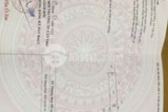 Nhà mới đất nhiều có thổ cư gần đường 917 mới 200m