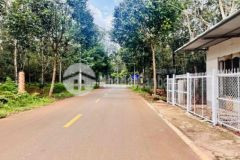 Nhỉnh 1tỷ đất cách mtiền lớn chỉ 50m xã bàu chinh