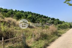 Cần bán mảnh đất 2.1 ha tại mộc châu, có 400m2 thổ cư, gía chỉ 1,x tỷ