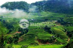 Đất nền mộc châu đón sóng cao tốc,giá siêu rẻ