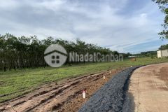 Đât binh phươc dt5x60m, 100m thô cư, 580tr nên