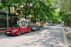 Cực hiếm và duy nhất 01 căn biệt thự đơn lập làng kiến trúc phong cảnh võng thị.