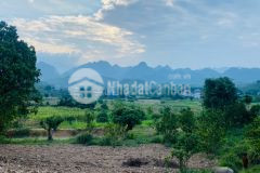 Siêu phẩm nghỉ dưỡng 5000m2 có 400m2 tc sở hữu view triệu đô cực đẹp