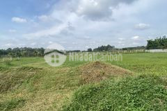 Bán gấp lô đất vườn xã nhuận đức, 1180m2 giá rẻ 1ty200, sổ hồng riêng, bao công chứng.