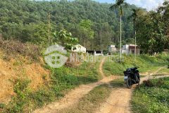 19280 m2 tai đu sang, kim bôi, gia chi vai trăm nghin m2