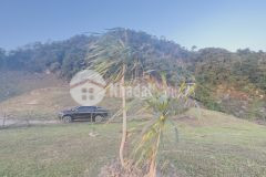 Hỉ còn 1 slot. nhanh ko hết hàng.