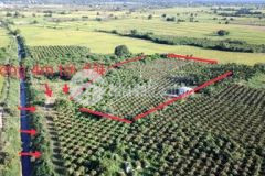 9 xào hồng thái mặt tiền đường kênh nước 150km2