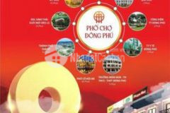 Gía sụp hầm lô đất thị trấn đôg phú đối diện chợ