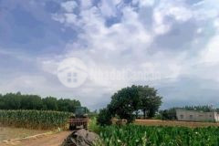 Bán lô đất 1 012m2 ngay kcn đất đỏ chỉ 1 445 tỷ