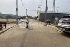 Lô góc 2 mặt tiền 65m2 900tr đường nhựa 8m