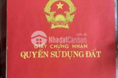 Đất full thổ 210m2 lô 2 giồng ao cần thạnh cần gio