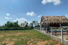 Bán đất vườn củ chi đường tỉnh lộ 7