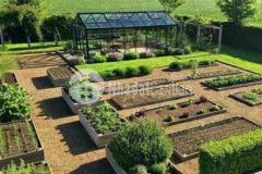 3 lô đất vườn nhuận đức dt 500m2 đường ô tô