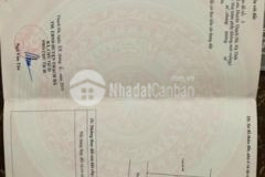 Đất quy hoạch sau cây xăng thạch đài thương lượng