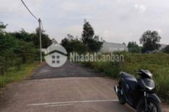 Đất 100m2 giá rẻ bình minh trảng bom đường 5m