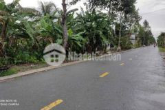 Bán đất tỉnh lộ 925 gần cầu cái chanh