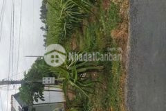 Đất mặt tiền nhựa 5 tấn