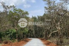 420 triệu sổ lên được 300m2 thổ cư ngay ql 14