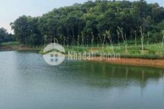 3400m2 view hồ chân vườn quốc gia ba vì