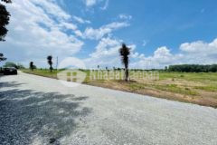 Cần bán lô đất 24x55 giá chỉ 50trm ngang