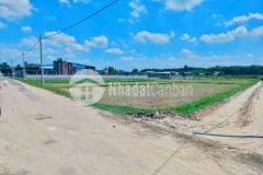 Nhà tôi bán 2 sào đất vườn ngay tl2 giá 1 5trm2