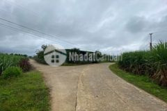 Tâm huyết nhượng lại cho các nhà đầu tư