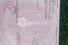 Đất chính chủ dương minh châu mặt tiền đường qh20m