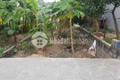 Bán đất khu vực đùa thông