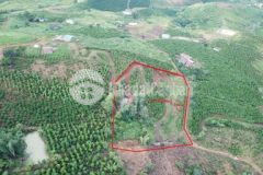 Bán lô đất 1ha lâm hà mt 100m qh thổ 360trsào