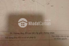 Mặt tiền hl 97b 2 cây lim ấp hưng hòa tx gò công