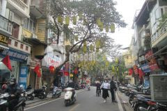 Mặt phố cổ hàng bạc, hàng mắm sầm uất gần phố mã mây 38m2 chỉ 19.9 tỷ. lh 0989.62.6116