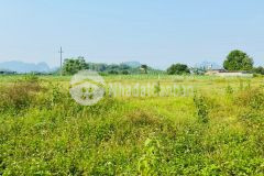 Siêu phẩm nghỉ dưỡng 2 mặt tiền có dt 3000m2 nằm trong khu vực nhiều homestay nhất huyện