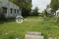 Bán gấp đất củ chi giá rẻ 200m2 giá 1,9 tỷ sổ hồng riêng