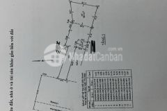 Nhà mặt tiền hoàng hữu nam diện tích 226m giá tốt tiện kinh doanh