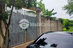 Bán nhà vườn trần quý cáp