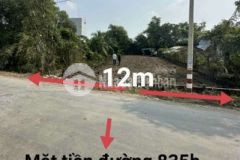 Chính chủ bán nền đất đường 835b cần đước