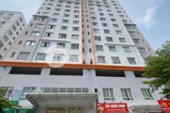 Căn hộ 65m2 2pn căn hộ bông sao