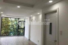 Mt vòng xoay dân chủ q3 hiện hữu 15 5 tỷ
