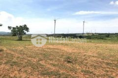 Cắt lỗ bán lô đất hơn 5 sào view biển chỉ 7xxtriệu