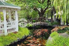 Bán đất thổ cư phố tôn thất tùng 40m nhỉnh 2 tỷ