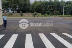 Đất sổ hồng 100m2 sang tên công chứng trong ngày