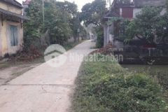 Đất 792m2 vũ xá kim động hưng yên