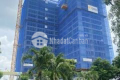 Thật sự chủ rất cần tiền nên bán lỗ