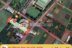 Đất 14x87 bùi viện pleiku gia lai
