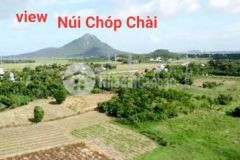 2 5 hecta rsx gái 500tr xã hòa kiến tp tuy hòa