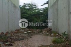 Đất khu dân cư 6x31 quốc lộ 50 quy đức bình chánh