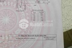 Mt mai thu nhơn thạnh trung tân an