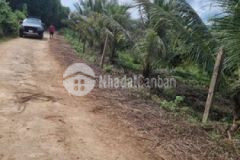 Bán đất khánh bình khánh vĩnh khánh hòa