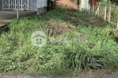 Đất đường nguyễn thị chiên tân an hội 237m2